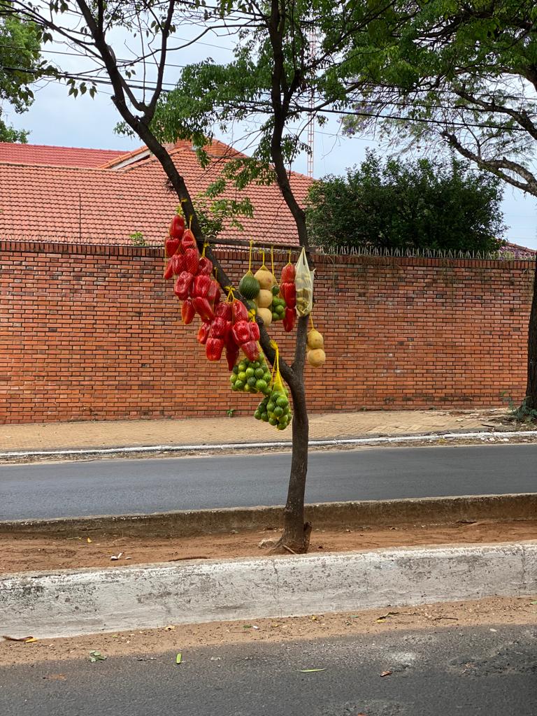 Fruits et légumes dans les rues d'Asunción